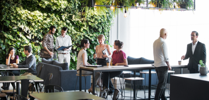 People meeting in front of live plant wall